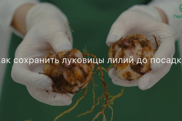 Кракен 15at