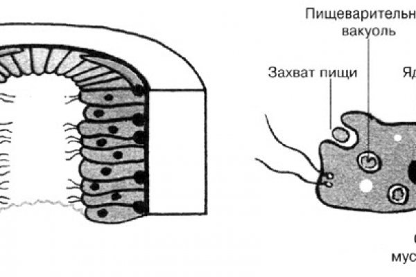 Даркнет официальный сайт вход
