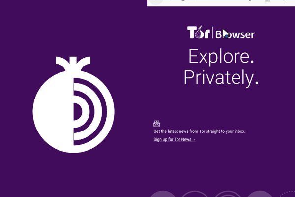 Kraken tor зеркало