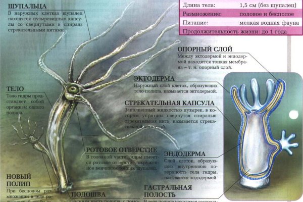 Ссылки кракен телеграф