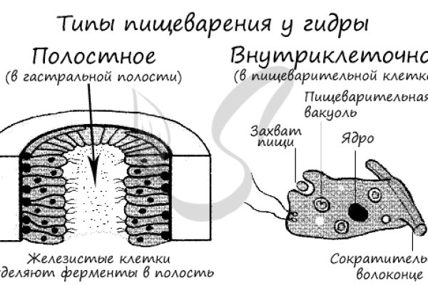 Даркнет москва