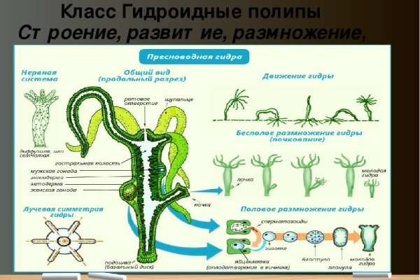 Кракен маркет свежие ссылки