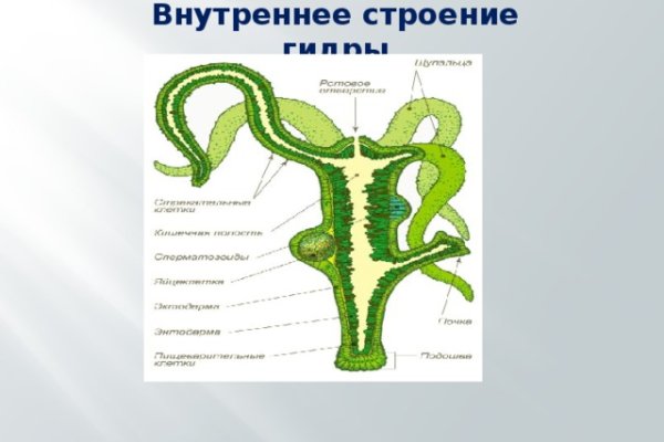 Кракен магазин нарков