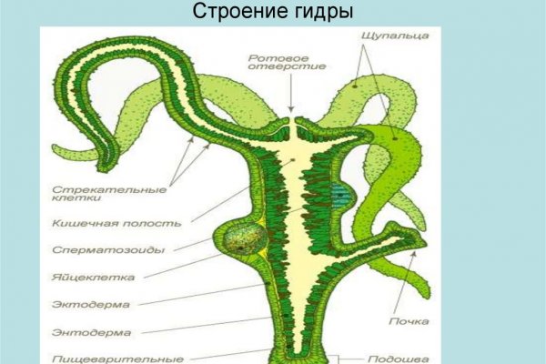 Что такое кракен плейс