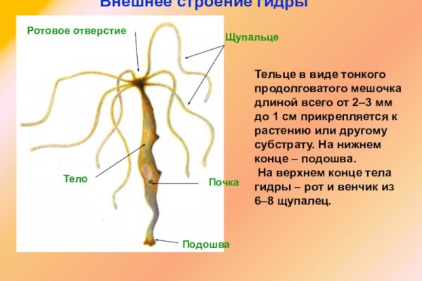 Как восстановить доступ к аккаунту кракен