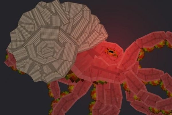Kraken площадка