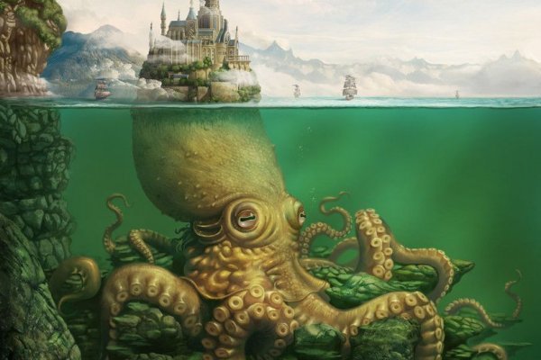 Kraken 24 at