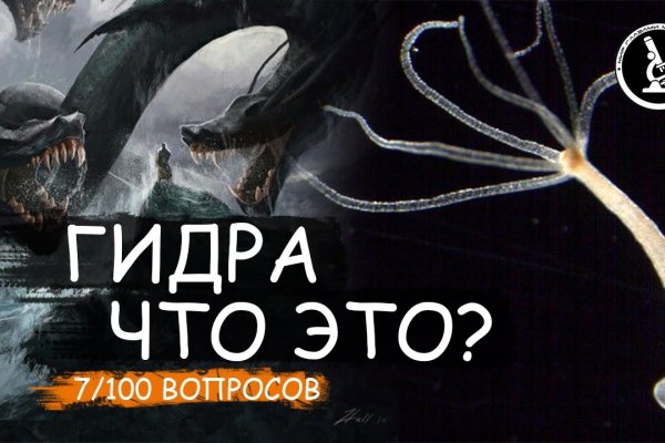 Kraken 12 at