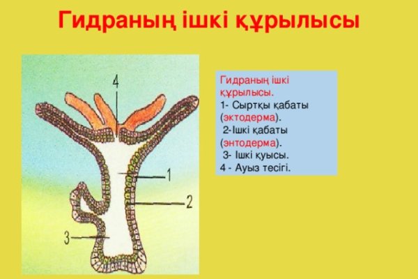 Как вывести деньги с kraken