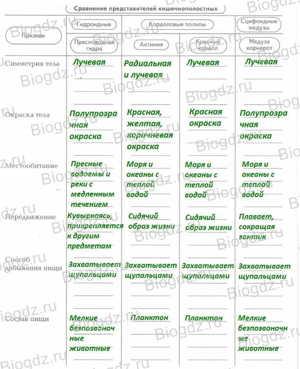 Кракен действующая ссылка